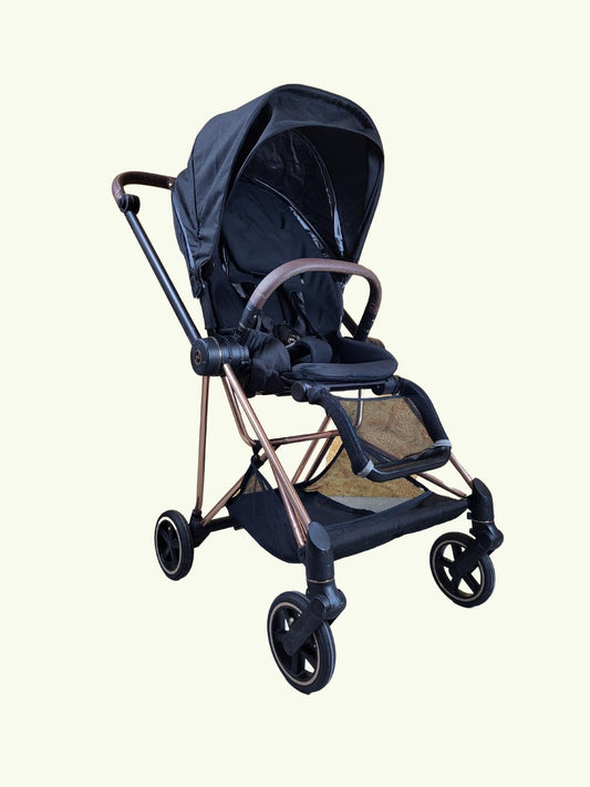 Aufbereitung Buggy 1