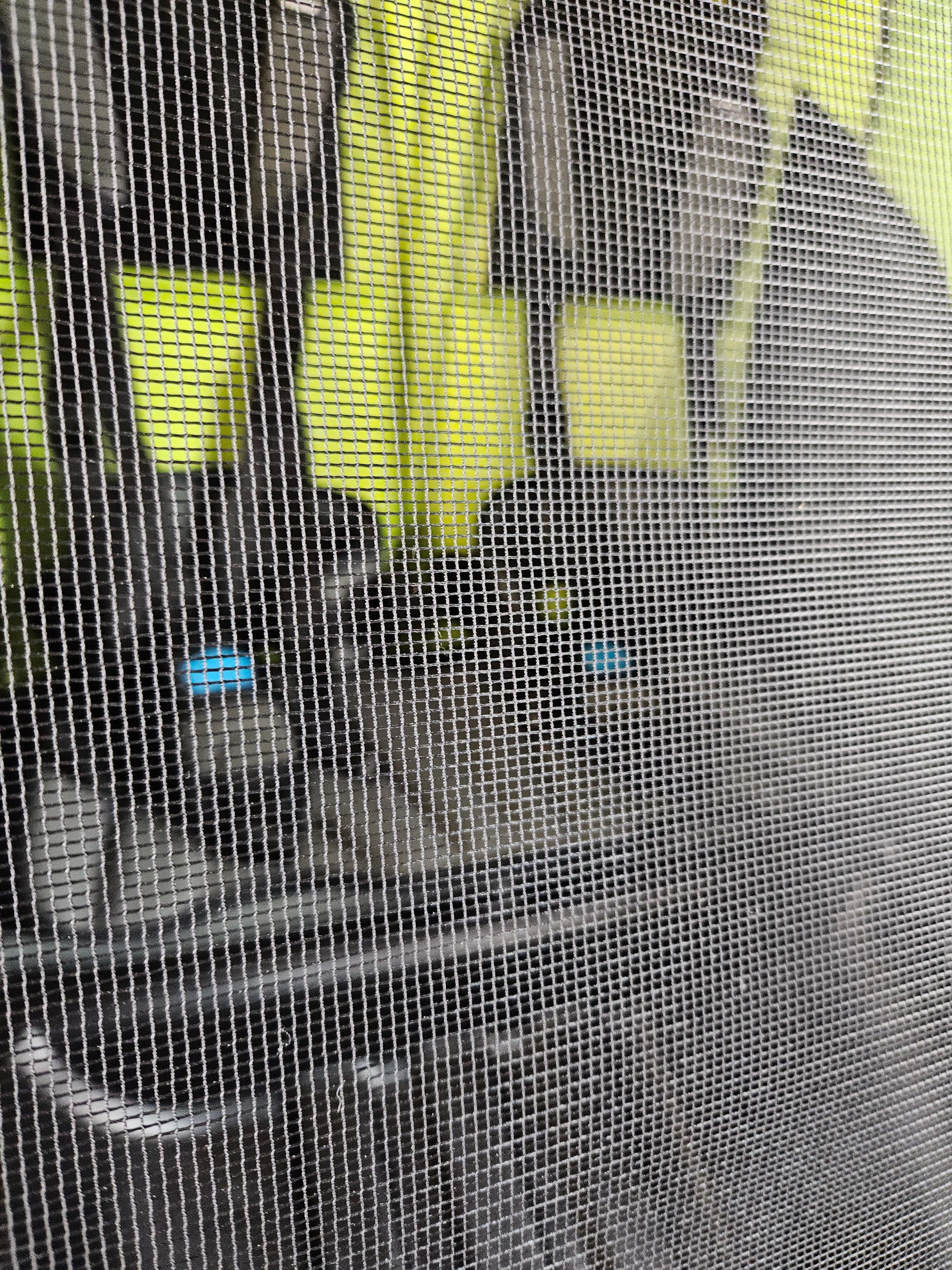 Thule - Cab 2 Fahrradanhänger - Grün in sehr Gutem Zustand 13